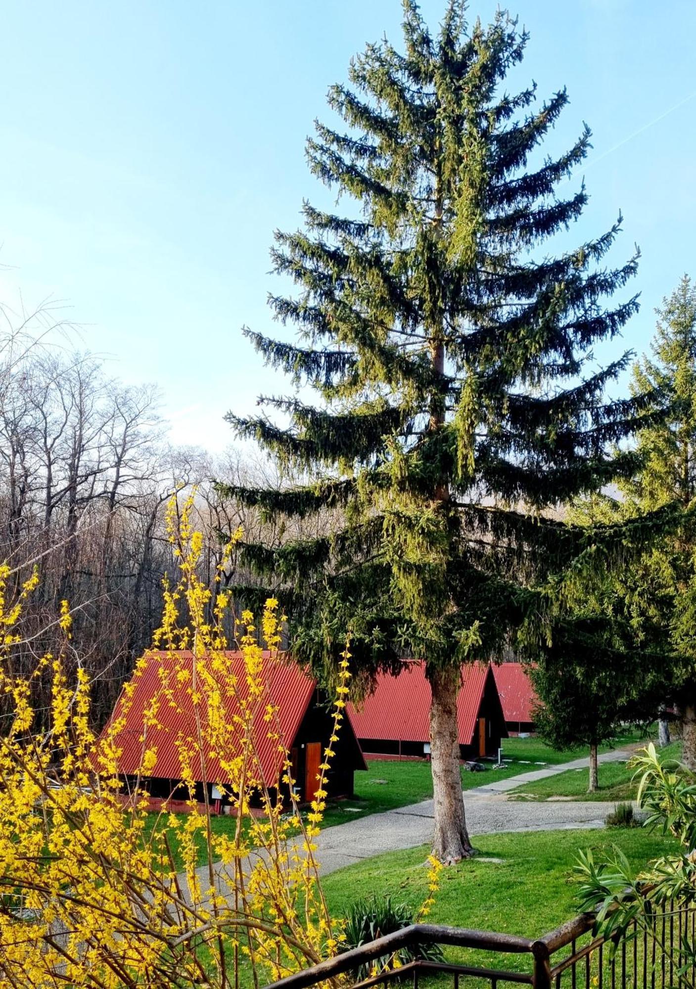 Zaruby Resort Smolenice Exterior foto